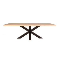 Table rectangulaire 200x100cm en bois et métal