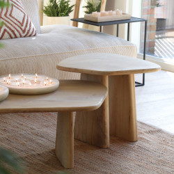 Table d'appoint irrégulière en bois de manguier JASMINE