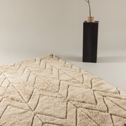 Tapis moderne beige 230x160 cm ZYO