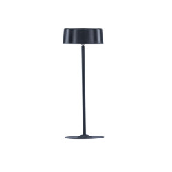 Lampe d'extérieur en métal noir TERN : Illuminez vos soirées chic